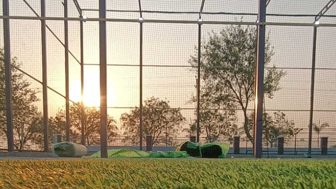 Maintenance Tips for Long-lasting Turf